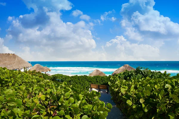 Plaży Delfines Cancun w Meksyku Hotel Zone — Zdjęcie stockowe