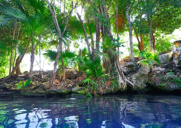 Cenote Doline in Riviera Maya Mexico — Stockfoto