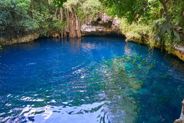 Cenote Doline im Regenwald Maya-Dschungel — Stockfoto