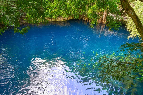 Cenote slukhål i regnskogen Maya djungeln — Stockfoto