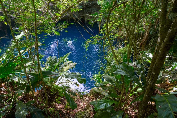 Cenote sinkhole in rainforest mayan jungle — Stock Photo, Image