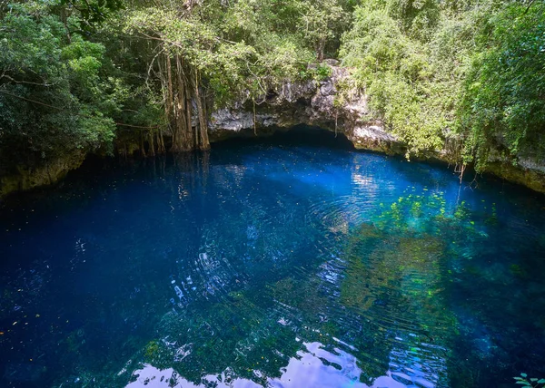 Lej krasowy Cenote w tropikalnych dżungli Majów — Zdjęcie stockowe