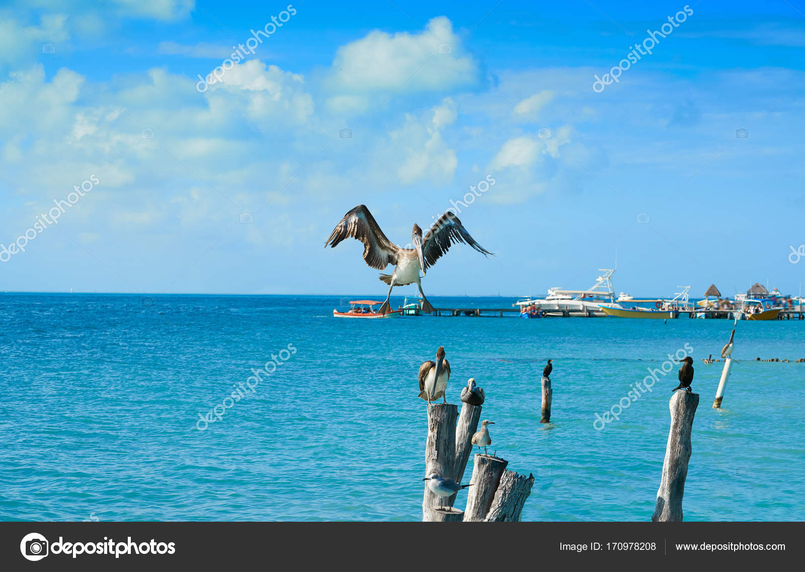 Posts navigation