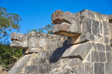 Chichen Itza yılan kafa Yucatan Meksika