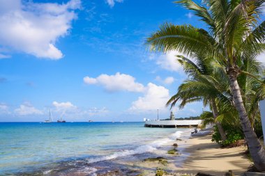 Riviera Maya Cozumel Adası Plajı