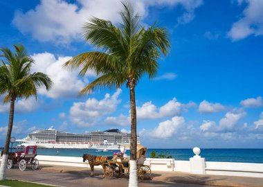 Cozumel Adası at arabası ve cruise