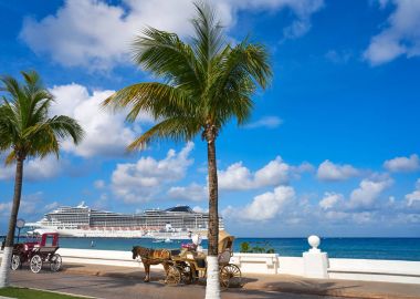 Cozumel island horse carriage and cruise clipart