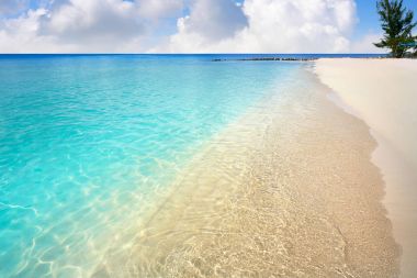 Cozumel island Palancar beach Riviera Maya clipart