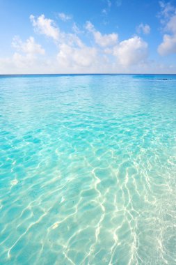 Cozumel Adası Palancar beach Riviera Maya