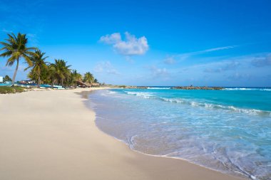 Chen Rio beach Cozumel Adası Meksika