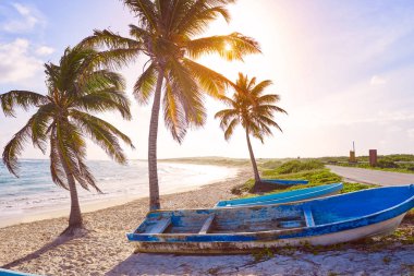 Chen Rio beach Cozumel island in Mexico clipart