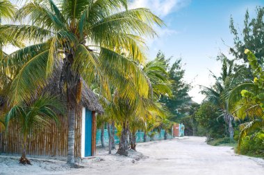 Holbox Island palmiye ağaç kulübe Meksika