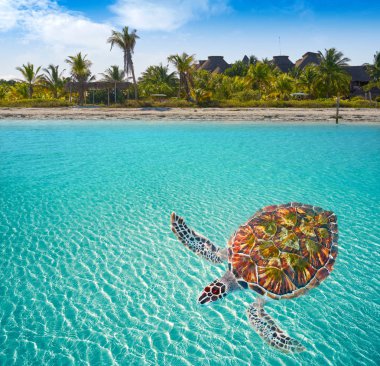 Holbox Island in Quintana Roo Mexico clipart