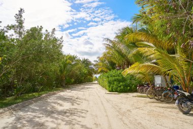 Quintana Roo Meksika Holbox tropik ada