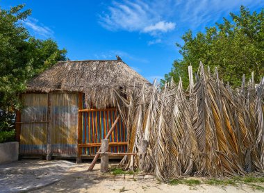 Holbox tropikal ada kabin kulübe Meksika