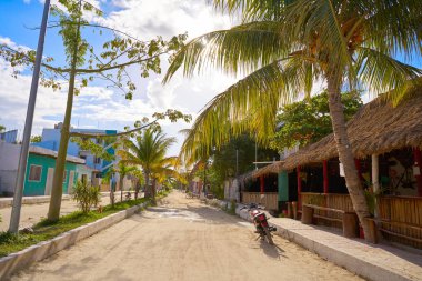 Quintana Roo Meksika Holbox tropik ada