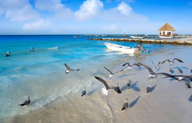 Quintana Roo Meksika Holbox tropik ada