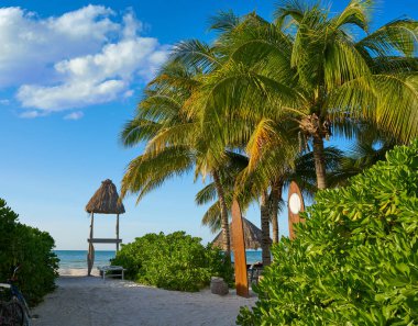 Quintana Roo Meksika Holbox tropik ada