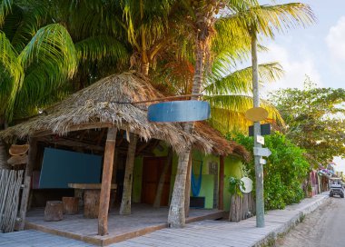 Quintana Roo Meksika Holbox tropik ada