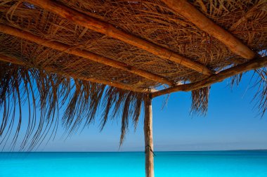 Holbox Island Quintana Roo Meksika