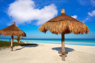 Holbox Island Quintana Roo Meksika