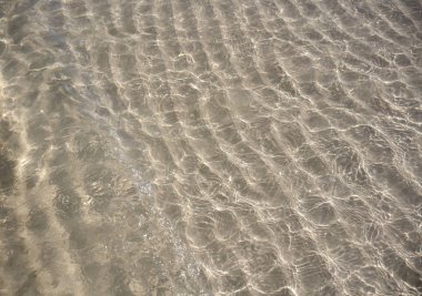 Karayip şeffaf su beach yansıma