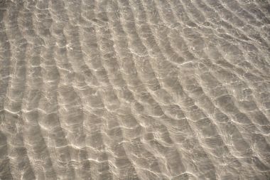 Karayip şeffaf su beach yansıma