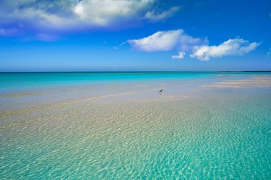 Holbox Island turkuaz Quintana Roo Meksika