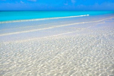 Holbox Island Quintana Roo Meksika
