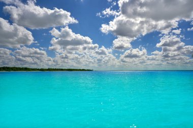 Holbox Island beach mangroove Meksika