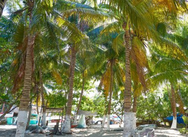 Isla Mujeres Island Karayipler beach Meksika