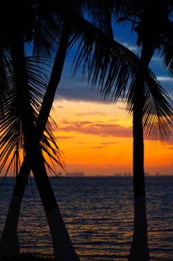 Isla Mujeres Adası Caribbean beach günbatımı 