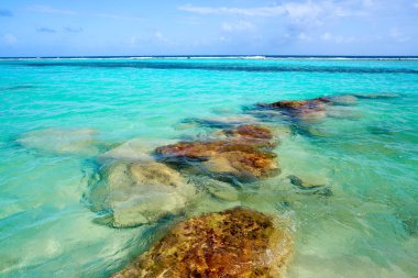 Costa Maya Mahahual Caribbean beach