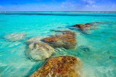 Costa Maya Mahahual Caribbean beach