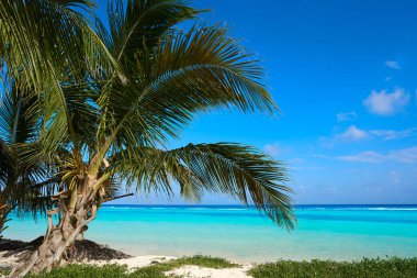 Costa Maya Mahahual Caribbean beach