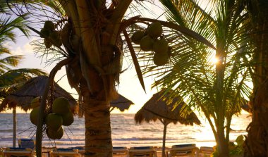 Costa Maya Mahahual Caribbean beach