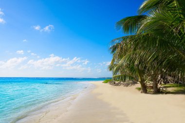 Costa Maya Mahahual Caribbean beach