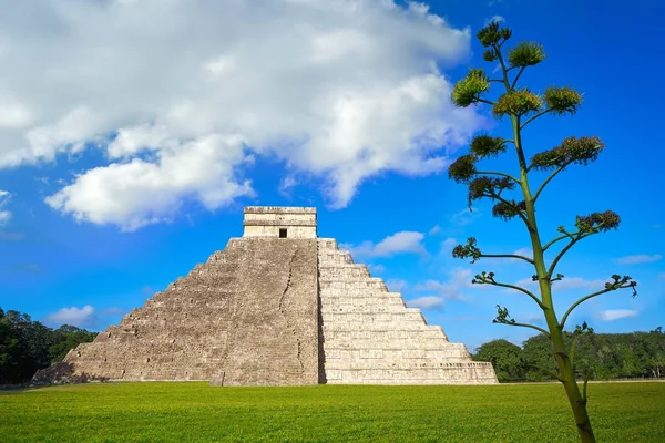 Chichen Itza El Templo Kukulcan temple — Stock Fotó