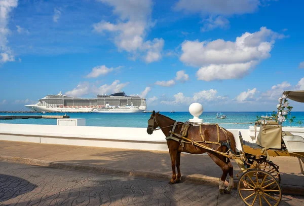 Cozumel isla carro de caballos y crucero — Foto de Stock