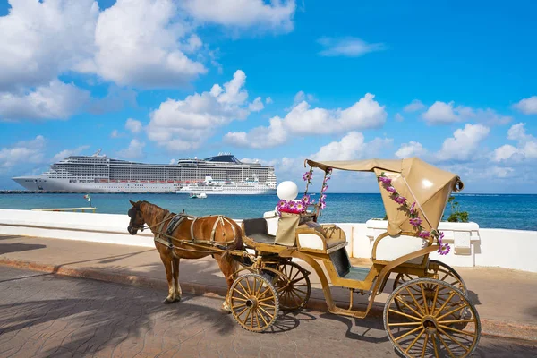 Cozumel szigetén ló szállítására és cruise — Stock Fotó