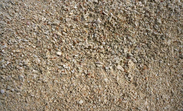 Písek z pláže Karibiku skořápky detail — Stock fotografie