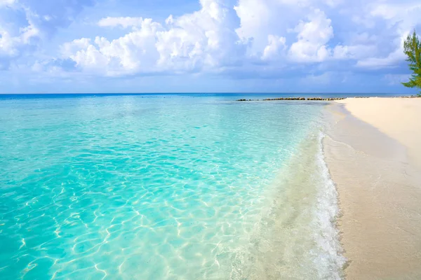 Caribe playa turquesa aguas limpias — Foto de Stock