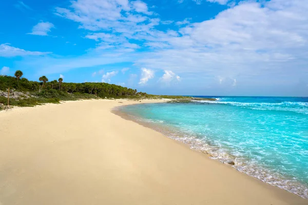 Cozumel ostrov Bush beach in Riviera Maya — стоковое фото