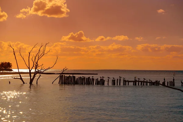 Holbox island západ slunce pláže v Mexiku — Stock fotografie