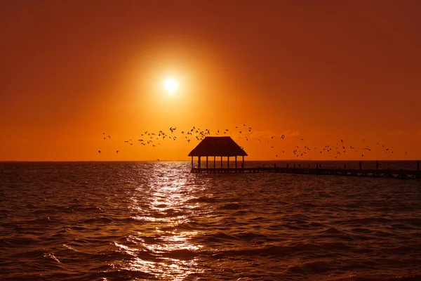 Holbox Island günbatımı plaj pier kulübe Meksika — Stok fotoğraf