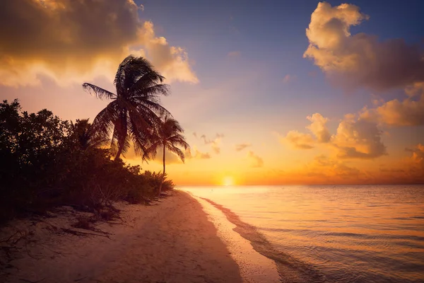 Holbox island sunset beach Mexiko — Stockfoto