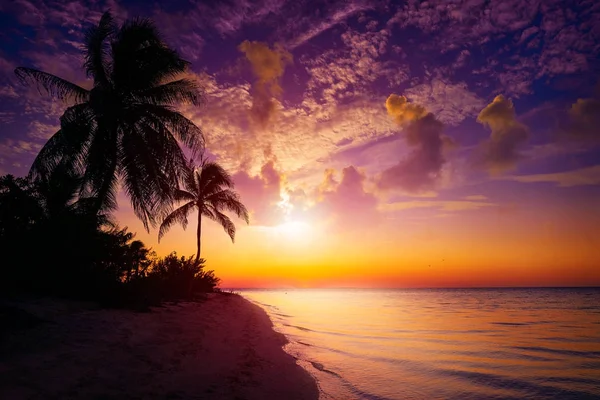 Holbox island zonsondergang strand Mexico — Stockfoto