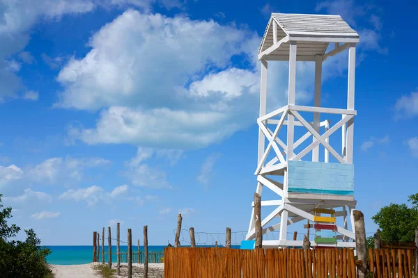 Holbox island trzciny płot tekstura — Zdjęcie stockowe