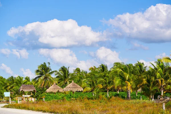 Holbox cabañas de palmeras de la isla México —  Fotos de Stock