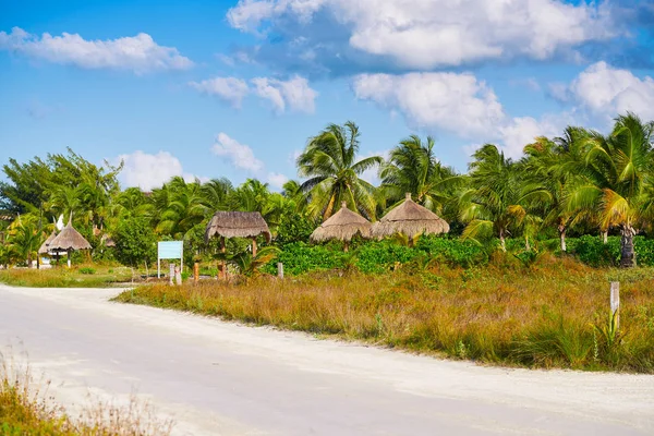 Holbox cabañas de palmeras de la isla México — Foto de Stock